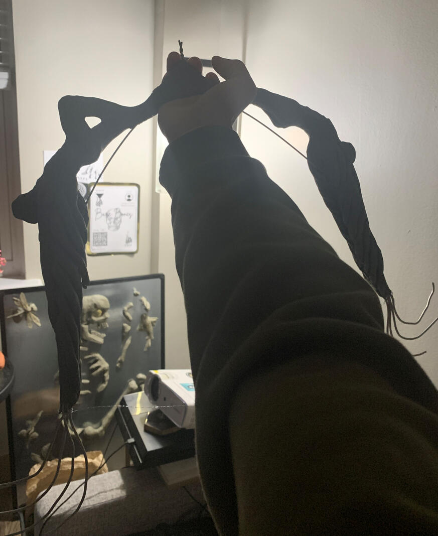 Untitled Bow